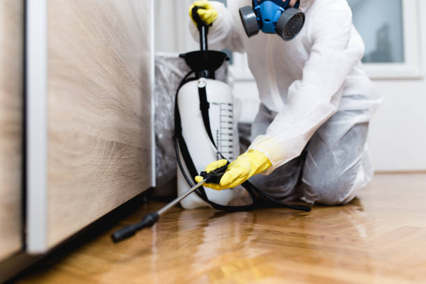 Best Commercial Pest Control Services  in Maunawili, HI