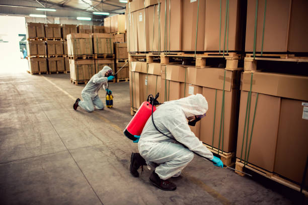Best Pest Removal Services  in Maunawili, HI
