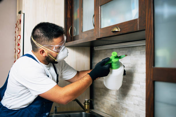 Best Exterminator Services  in Maunawili, HI