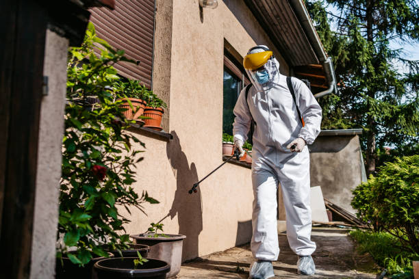 Best Pest Control Near Me  in Maunawili, HI