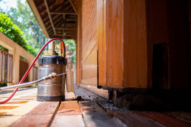 Best Wasp Removal Services  in Maunawili, HI